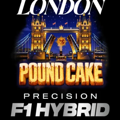 Barneys Farm London Pound Cake F1 3er Packung