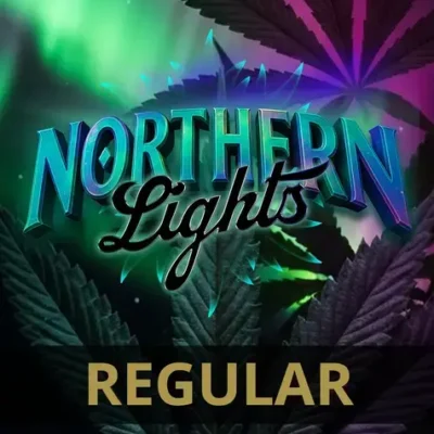 Barneys Farm Northern Lights Regular 5er Packung