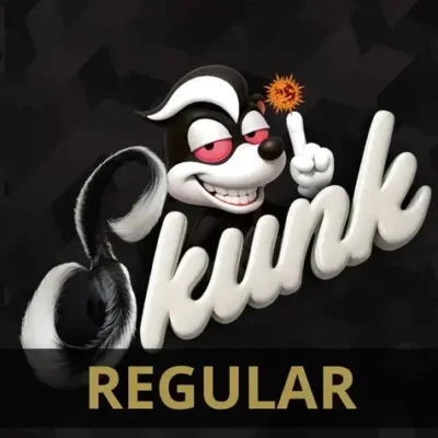 Barneys Farm Skunk #1 Regular 5er Packung