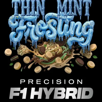Barneys Farm Thin Mint Frosting F1 3er Packung