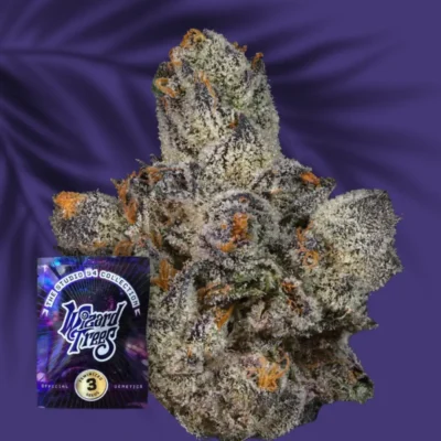 Wizard Trees Lemon Fever 3er Packung