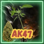 AK47