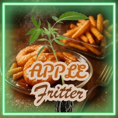 Apple Fritter