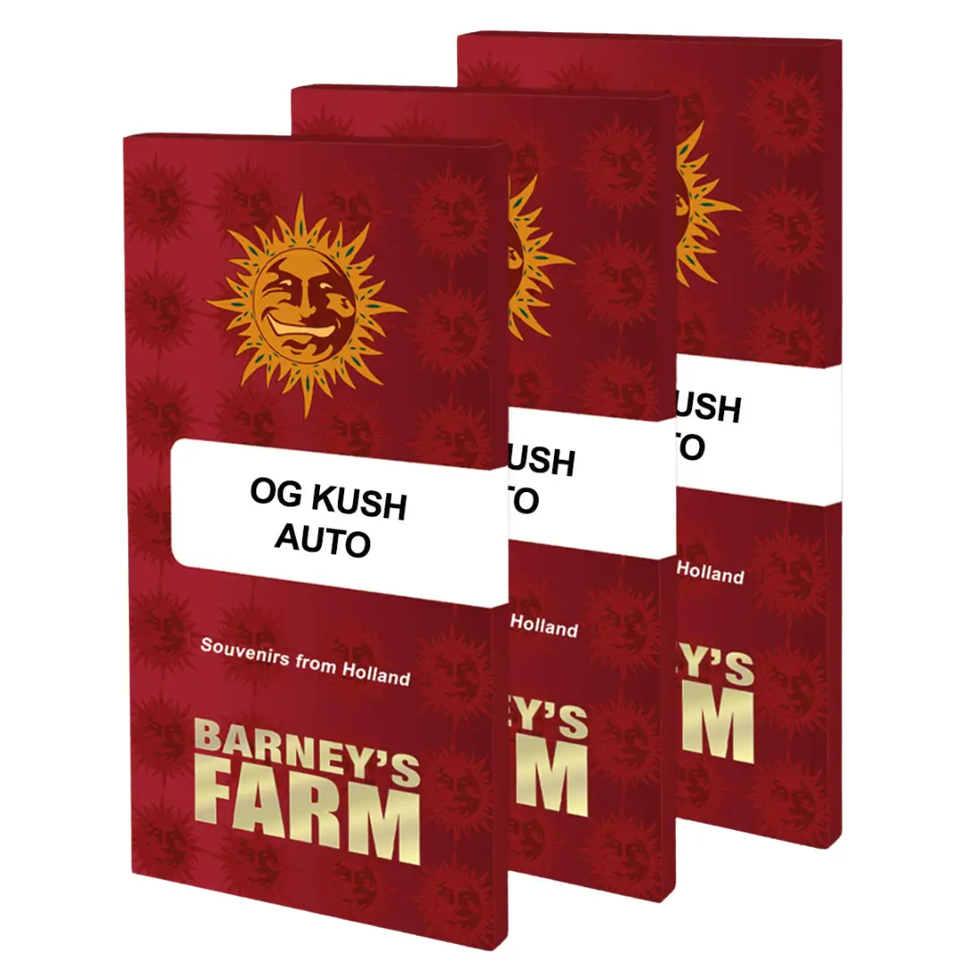 Barneys Farm OG Kush Auto 3er Pack – Bild 2