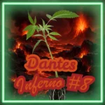 Dantes Inferno #8