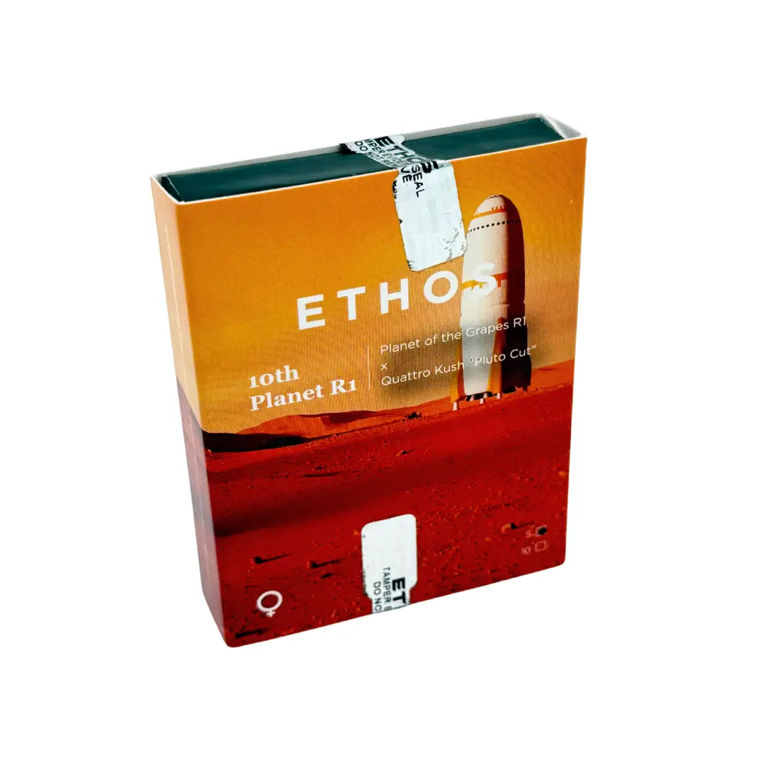 Ethos Genetics 10th Planet R1 5er Packung – Bild 2