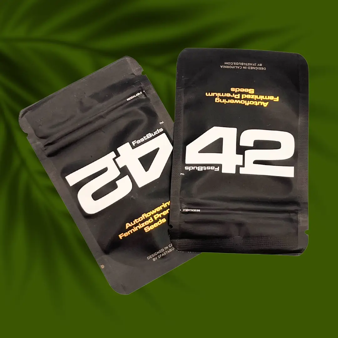 Fast Buds Papaya Cookies Auto - 3er Packung – Bild 2