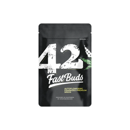 Fast Buds Orange Sherbet Auto - 3er Packung – Bild 3