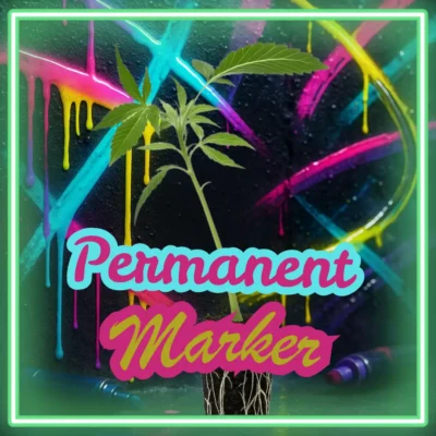 Permanent Marker