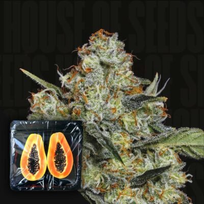 Dulce de Papaya