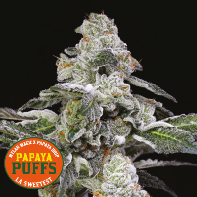 Papaya Puffs
