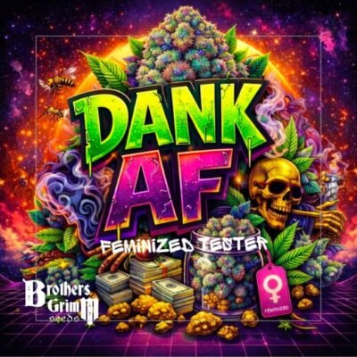Brothers Grimm Seeds Dank AF feminisiert – 9 Samen