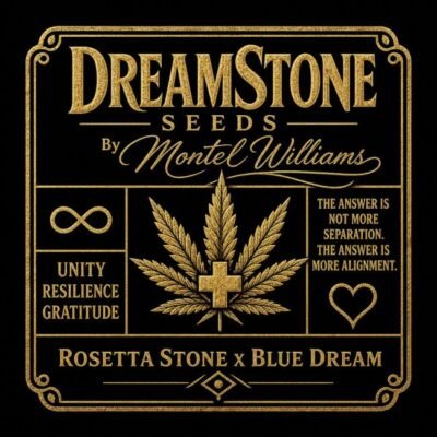 Brothers Grimm Seeds DreamStone by Montel feminisiert – 9 Samen