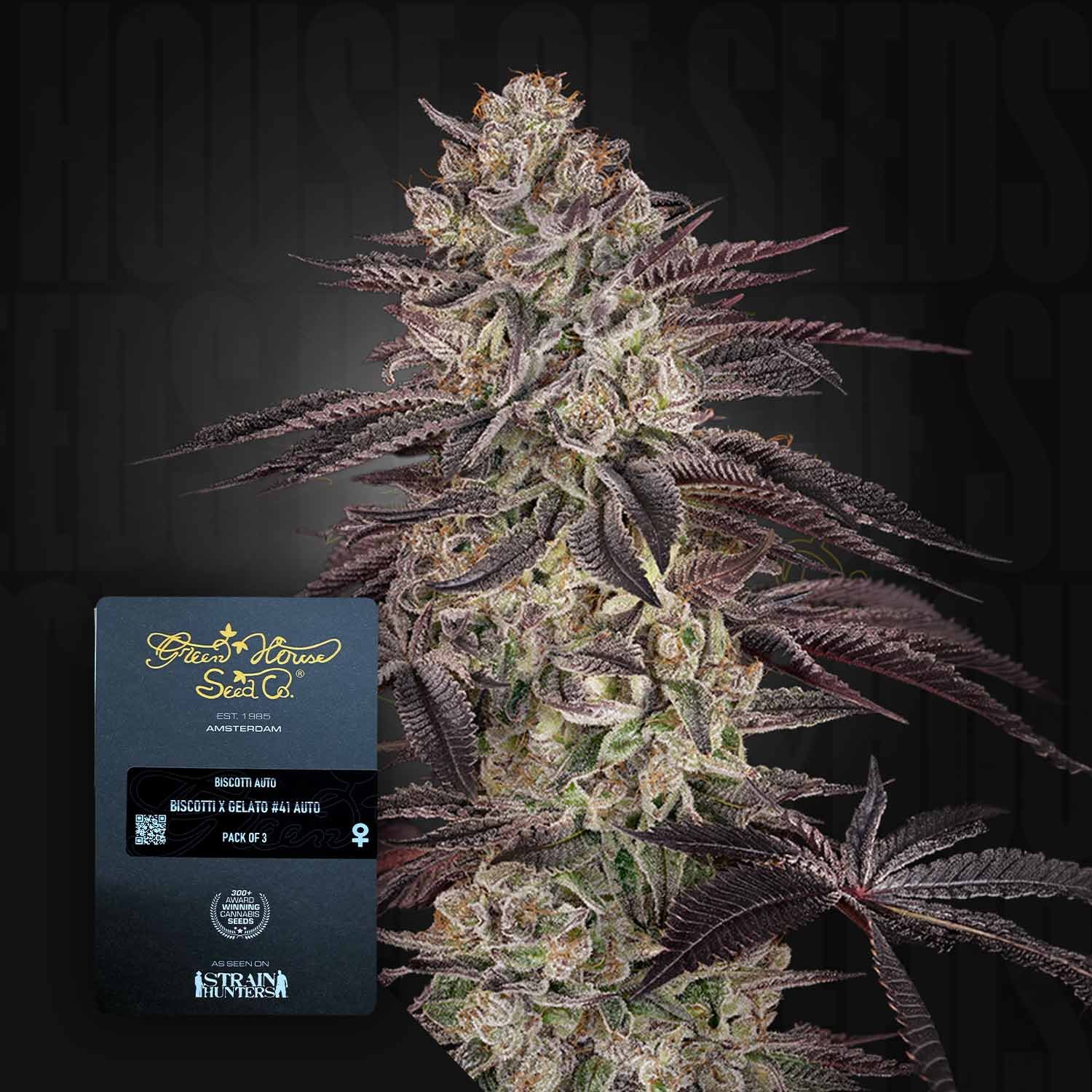 Green House Seed Co. Biscotti Auto