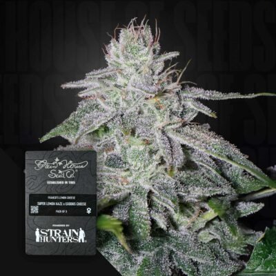 Green House Seed Co. Franco’s Lemon Cheese