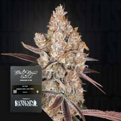 Green House Seed Co. Holy Snow