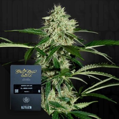 Green House Seed Co. Northern Lights Auto