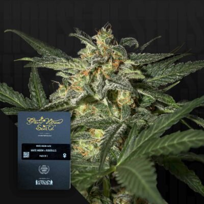 Green House Seed Co. White Widow Auto