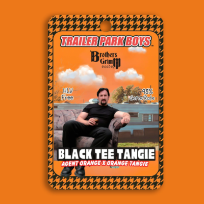 Brothers Grimm Seeds Julian’s Black Tee Tangie feminisiert – 9 Samen (Trailer Park Boys Collab)