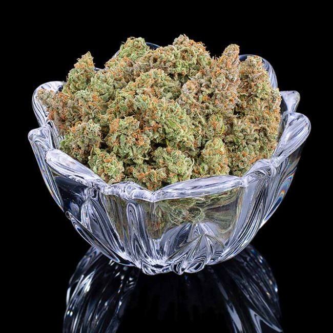 Brothers Grimm Seeds Thai Herer 99 feminisiert – 3 Samen – Bild 3