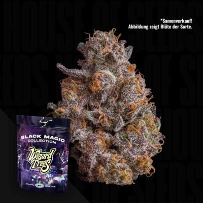 Wizard Trees Shazam – 3er Packung