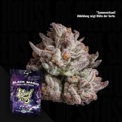 Wizard Trees Voodoo – 3er Packung