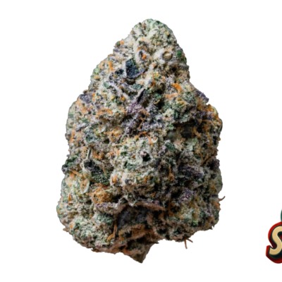Fast Buds Gary Sherbet Hanfsamen