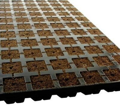 Eazy Plug 77er Tray