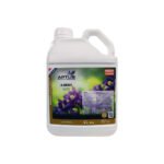 Aptus K Boost 5 Liter
