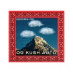 Seedsman OG Kush Auto feminisiert