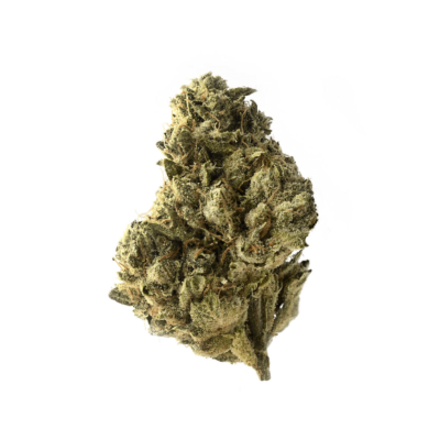 Amsterdam Genetics Strawberry Glue feminisiert