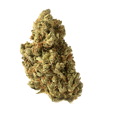 Amsterdam Genetics Amazing Haze feminisiert
