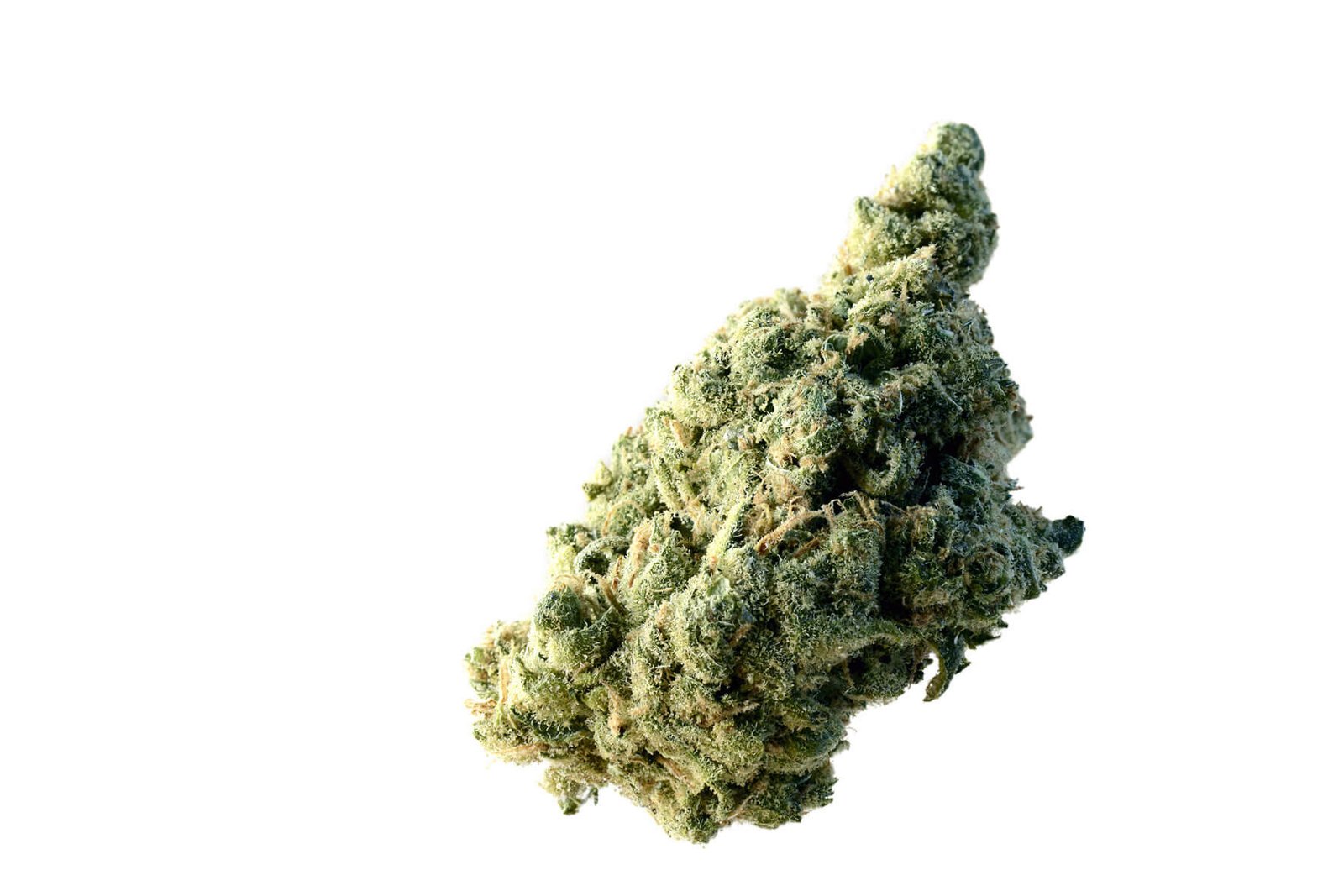 Amsterdam Genetics Lemon Ice feminisiert