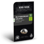 Sensi Seeds Buttercream Gelato feminisiert
