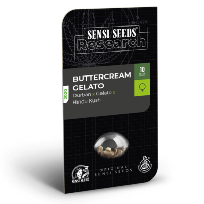 Sensi Seeds Buttercream Gelato feminisiert