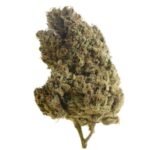 Amsterdam Genetics Lemongrass feminisiert