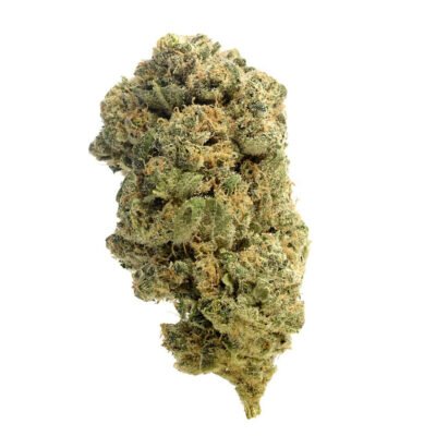 Amsterdam Genetics Quicksilver feminisiert