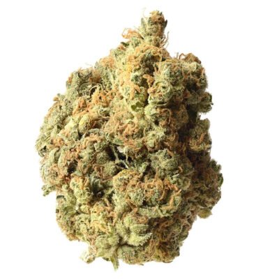Amsterdam Genetics AK-020 Auto feminisiert
