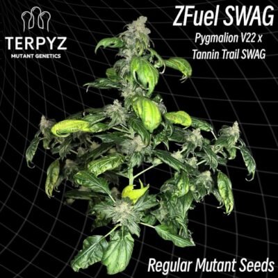 TerpyZ Mutant Genetics Zfuel Swag regulär