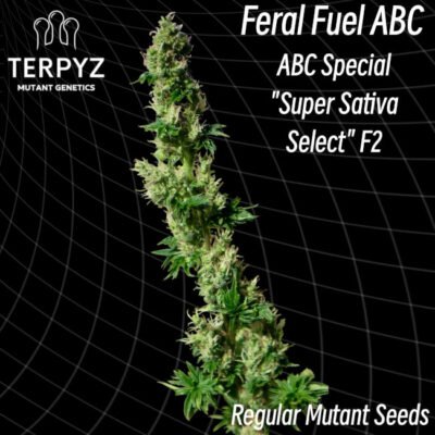 TerpyZ Mutant Genetics Feral Fuel ABC regulär