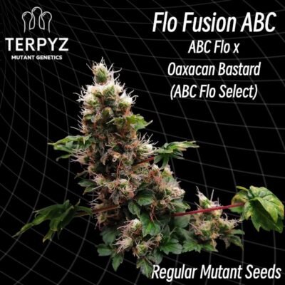 TerpyZ Mutant Genetics Flo Fusion ABC regulär