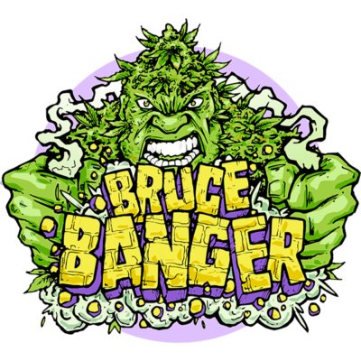 Seedsman Bruce Banger Fast feminisiert