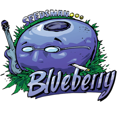 Seedsman Blueberry feminisiert
