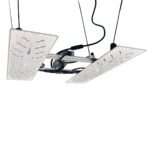BloomStar Wingman 660L