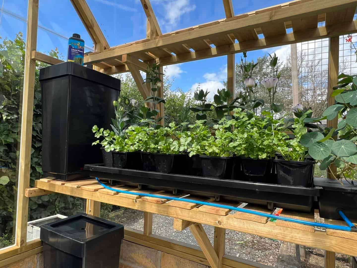AutoPot Tray2Grow – Bild 2
