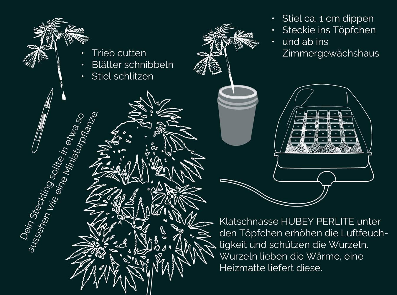 Hubey Bio Rooting Gel 70 ml – Bild 2
