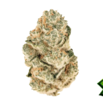 Fast Buds Gorilla Melon Hanfsamen