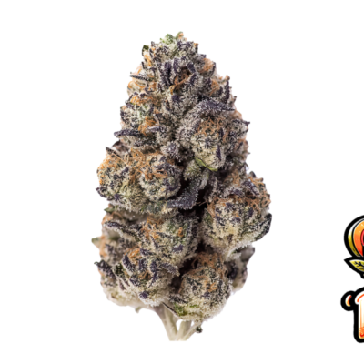 Fast Buds Papaya Sherbet Hanfsamen