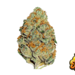 Fast Buds Lemon Mandarin Hanfsamen