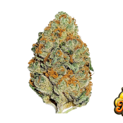 Fast Buds Lemon Mandarin Hanfsamen